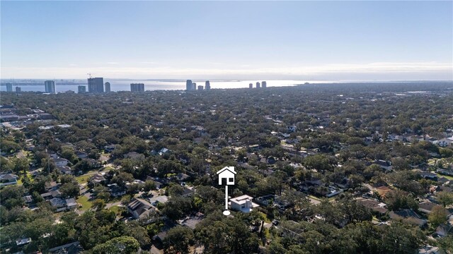 2406 S Clark Ave, Tampa, FL 33629 - photo 48