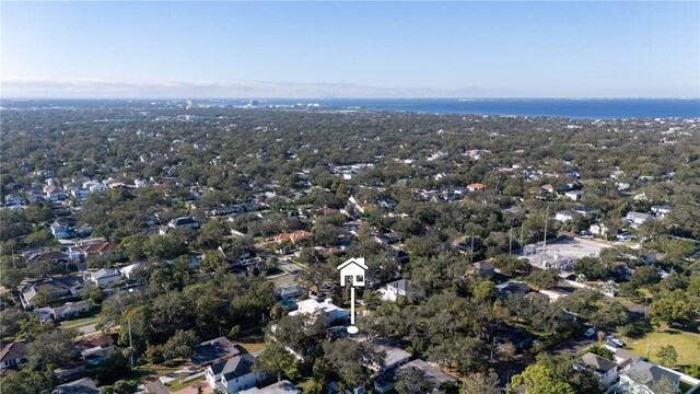 2406 S Clark Ave, Tampa, FL 33629 - photo 50