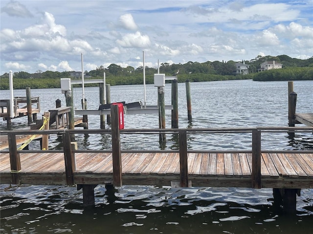 dock area with a water view