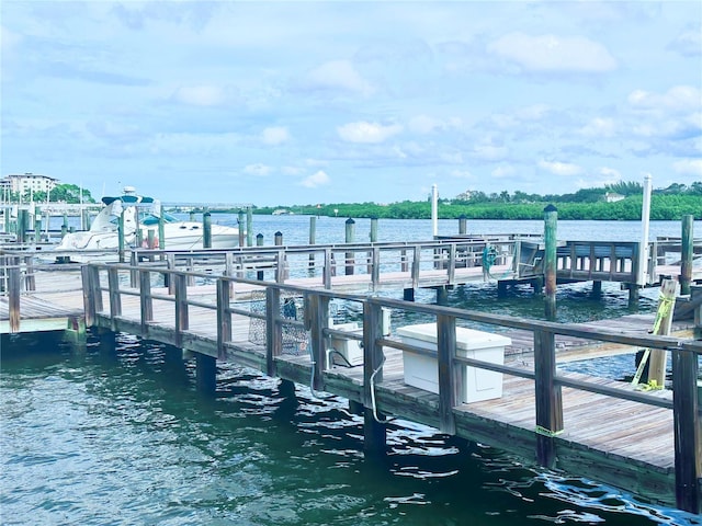 dock area featuring a water view