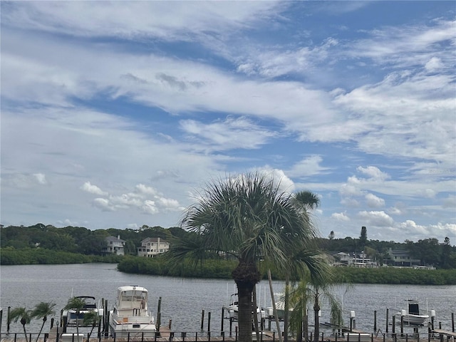 water view with a boat dock