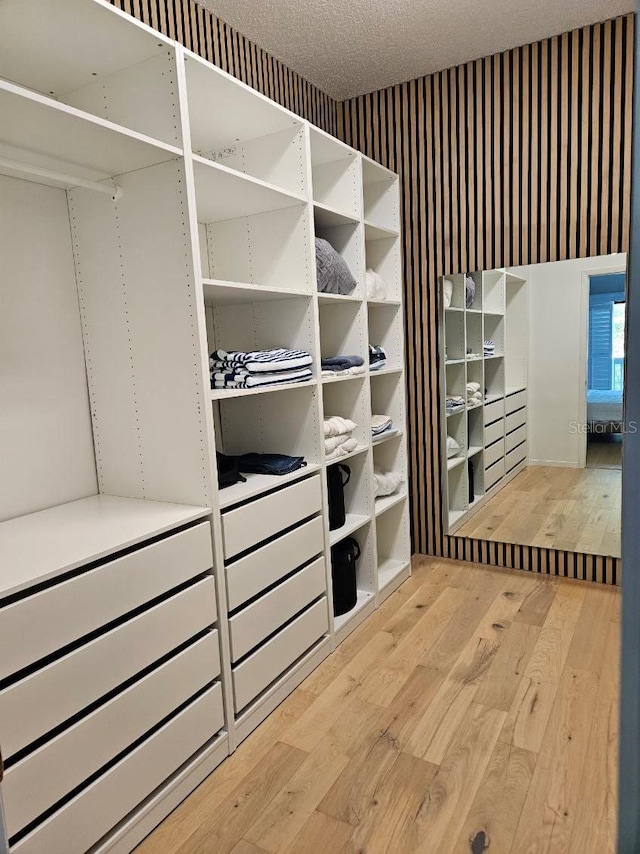 spacious closet featuring wood finished floors