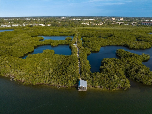 birds eye view of property featuring a forest view and a water view