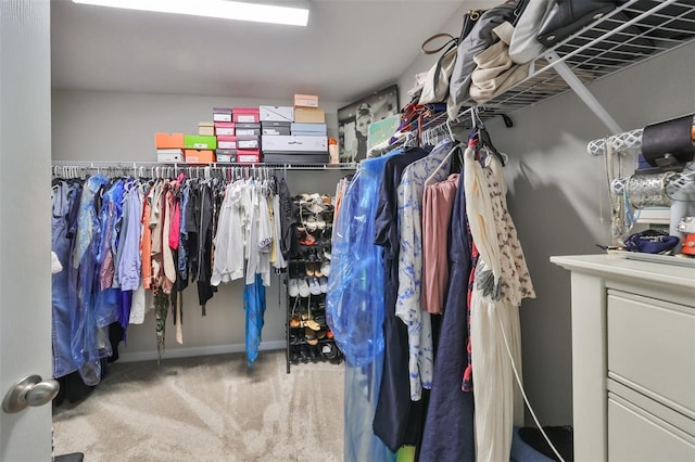 spacious closet featuring carpet flooring