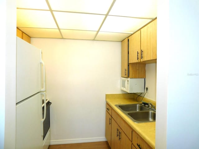 kitchen featuring a paneled ceiling, sink, light wood-type flooring, and white appliances