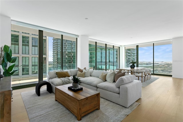 living room featuring expansive windows, a wealth of natural light, and light hardwood / wood-style floors