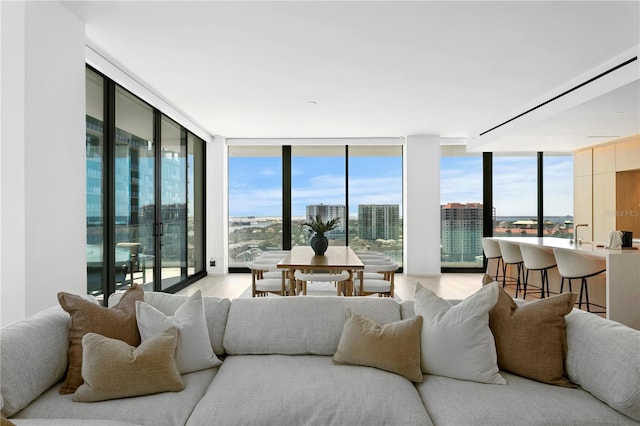 living room featuring expansive windows, light hardwood / wood-style floors, and a healthy amount of sunlight