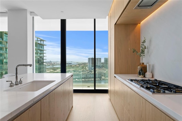 kitchen with stainless steel gas cooktop, light hardwood / wood-style flooring, a water view, and sink