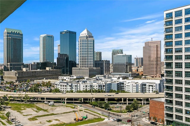 1000 Water St Unit 1402, Tampa, FL 33602 - skyline view