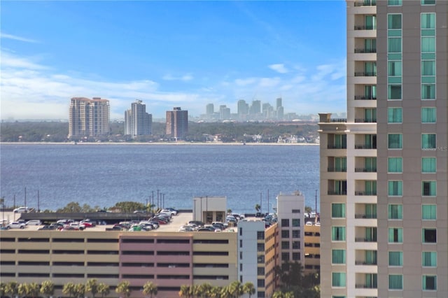 1000 Water St Unit 1402, Tampa, FL 33602 - water view featuring city skyline