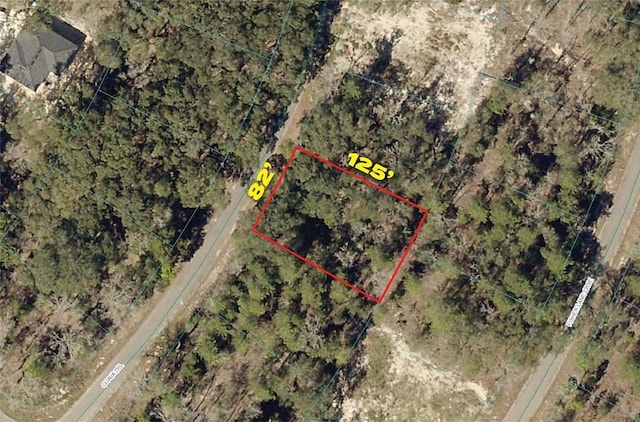 Guava Trl, Ocklawaha FL, 32179 land for sale