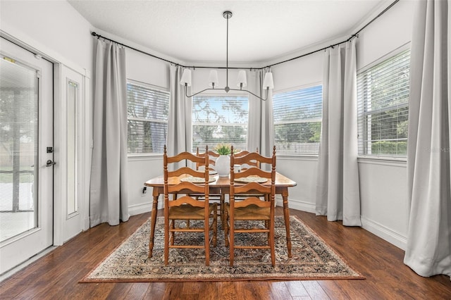 dining space with dark hardwood / wood-style floors and a wealth of natural light