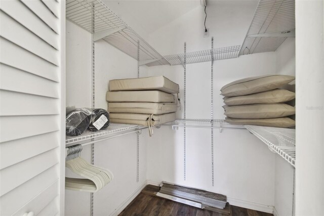 spacious closet featuring dark wood-type flooring