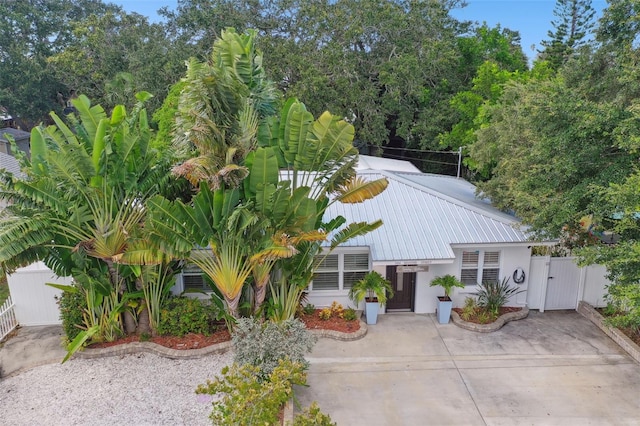 view of front of house featuring metal roof, fence, a gate, and stucco siding