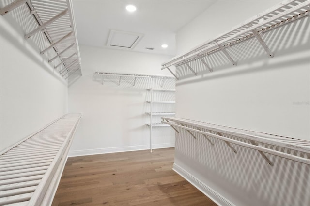 spacious closet featuring hardwood / wood-style floors