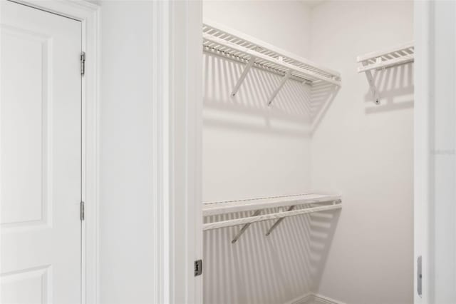 view of walk in closet