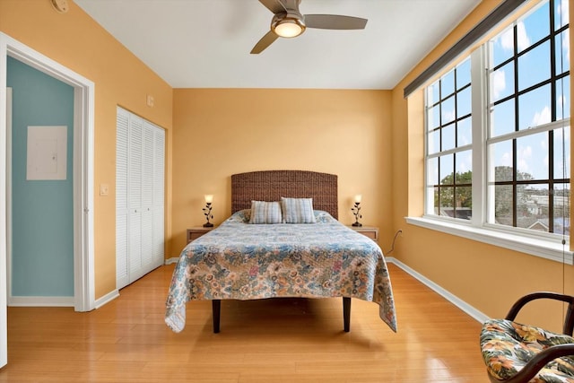 bedroom featuring a closet, ceiling fan, and light hardwood / wood-style flooring