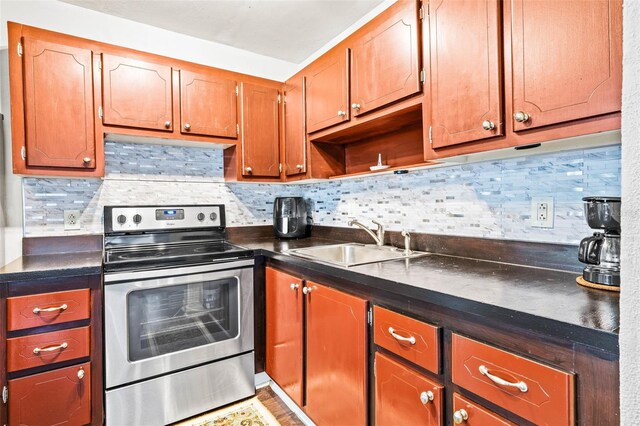 kitchen featuring sink, decorative backsplash, and stainless steel electric range