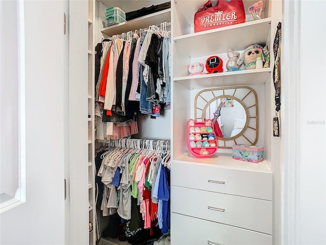 view of closet