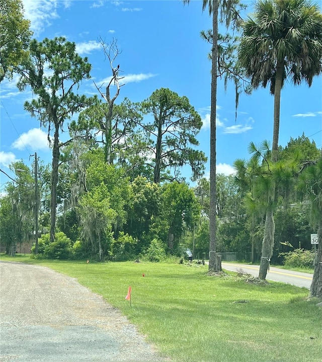 21750 Pineywood Loop, Land O Lakes FL, 34639 land for sale