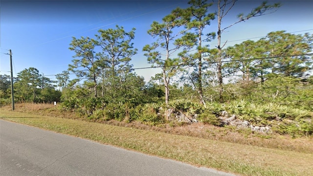 9A Paddock St, Orlando, FL 32833 - photo 2