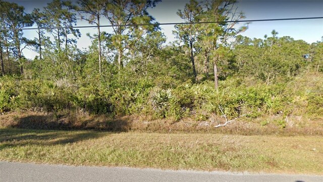 9A Paddock St, Orlando, FL 32833 - photo 3
