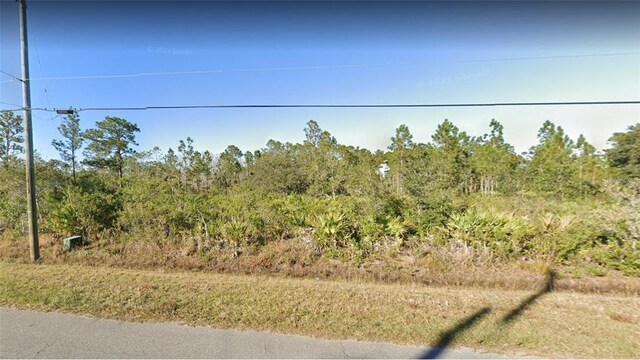 9A Paddock St, Orlando, FL 32833 - photo 4