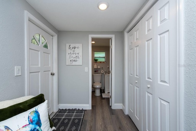 corridor featuring dark hardwood / wood-style floors