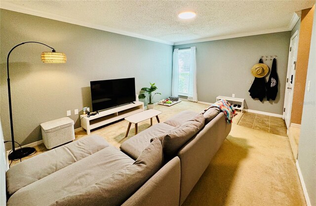 carpeted living room with crown molding and a textured ceiling