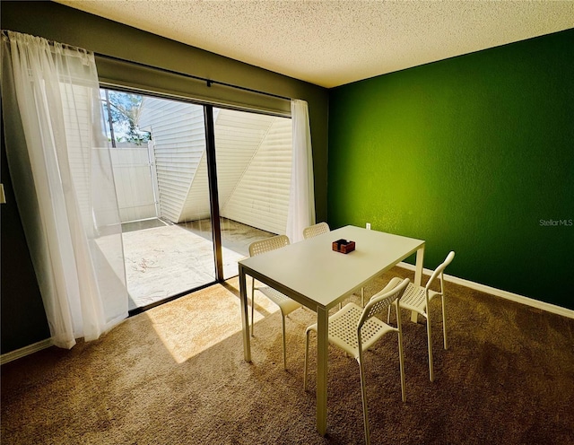 724 Haven Pl, Tarpon Springs, FL 34689 - carpeted dining space featuring a textured wall, a textured ceiling, and baseboards