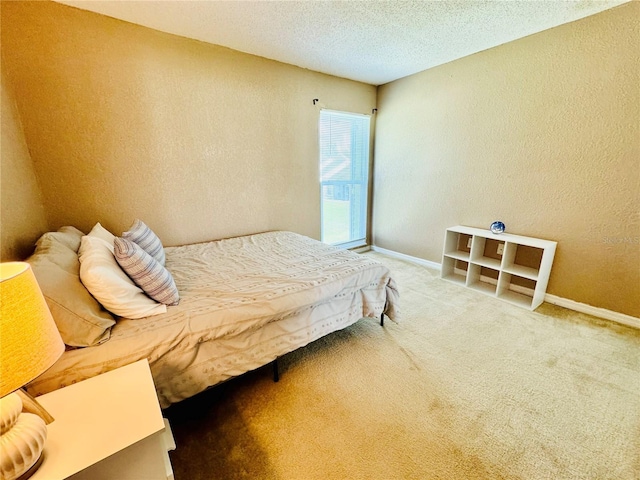 724 Haven Pl, Tarpon Springs, FL 34689 - carpeted bedroom featuring baseboards, a textured wall, and a textured ceiling