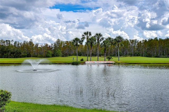 view of water feature