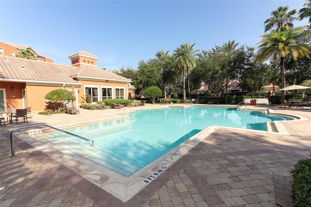 7126 Regina Way, Orlando, FL 32819 - photo 57