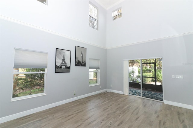 unfurnished living room featuring wood-type flooring and a high ceiling