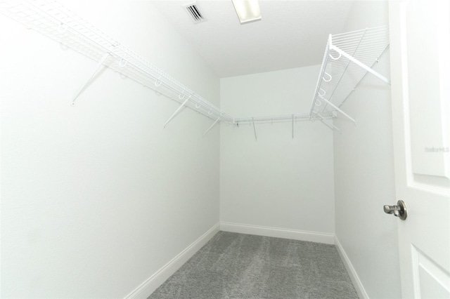 spacious closet with carpet flooring