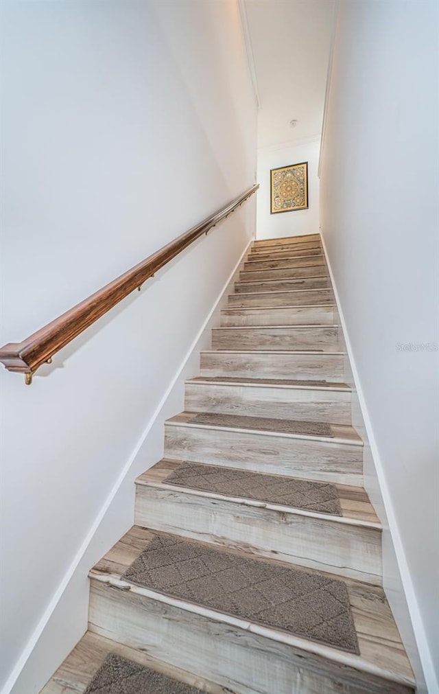 staircase with wood-type flooring