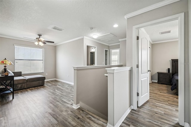 corridor with ornamental molding, a textured ceiling, and hardwood / wood-style flooring