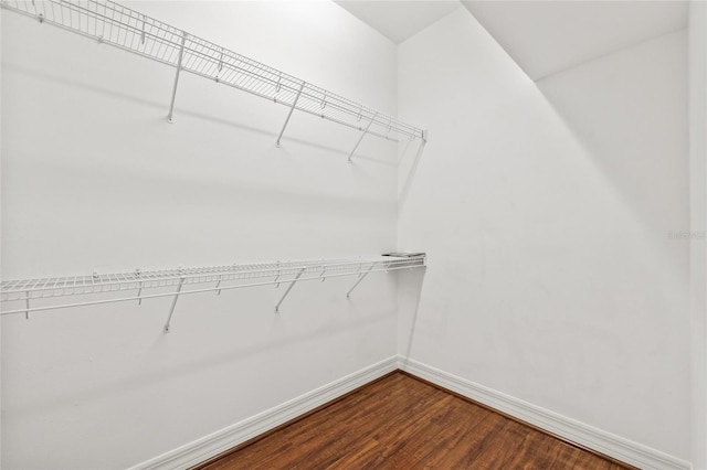 spacious closet with wood-type flooring