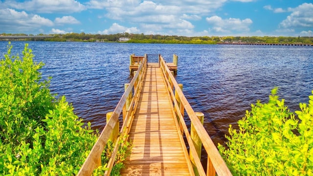 2001 Palm Key Ave, Oldsmar, FL 34677 - view of dock with a water view