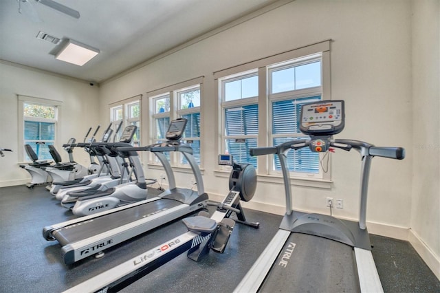 2001 Palm Key Ave, Oldsmar, FL 34677 - gym with visible vents and baseboards