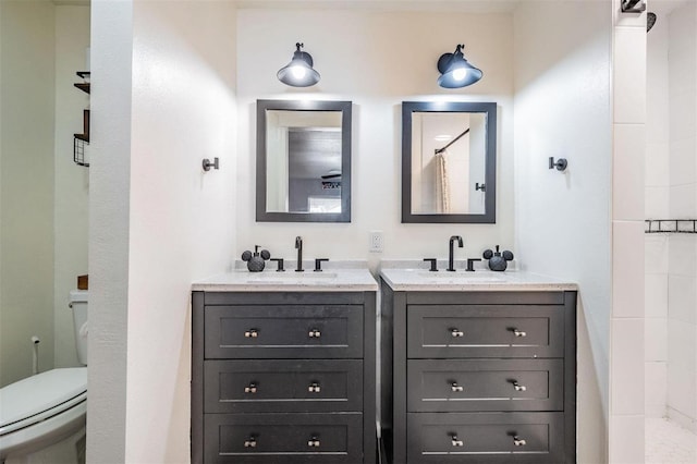 bathroom featuring vanity, a shower with curtain, and toilet