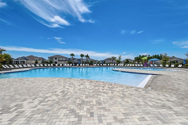 view of pool with a patio