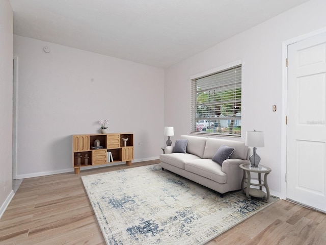 living room with hardwood / wood-style floors