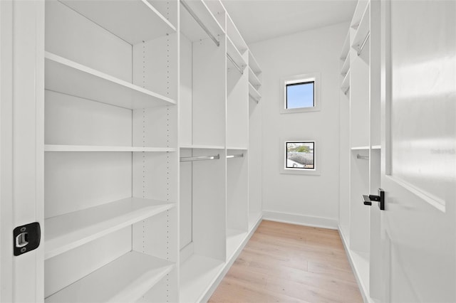 spacious closet featuring light wood-style flooring