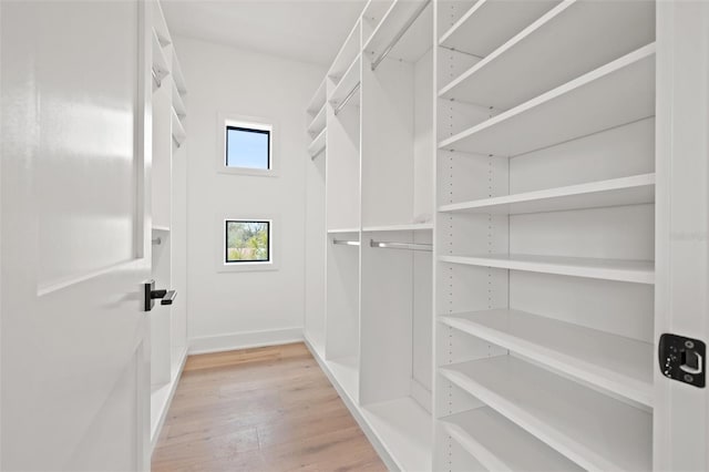 walk in closet with light wood finished floors