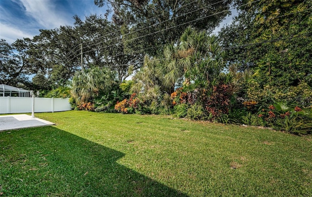 view of yard featuring a patio