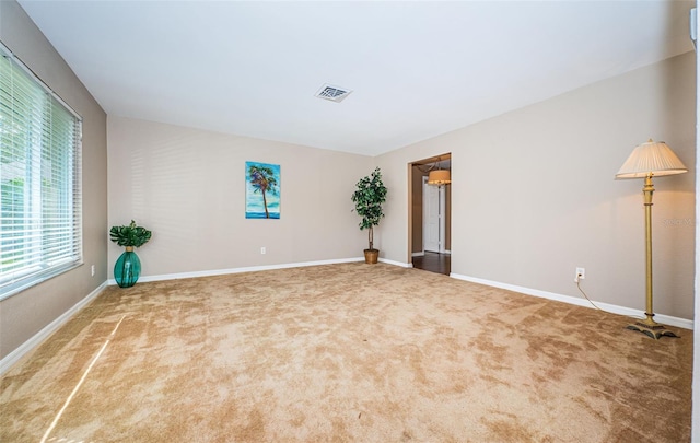 carpeted spare room with a wealth of natural light