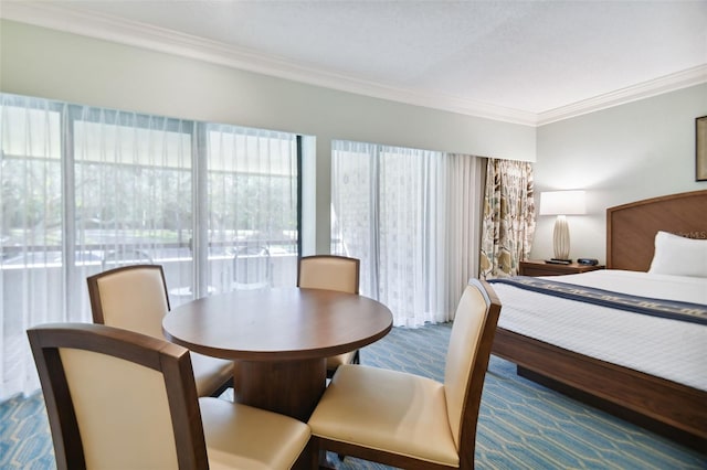 36750 US Highway 19 Unit 21212, Palm Harbor, FL 34684 - bedroom featuring ornamental molding and carpet flooring