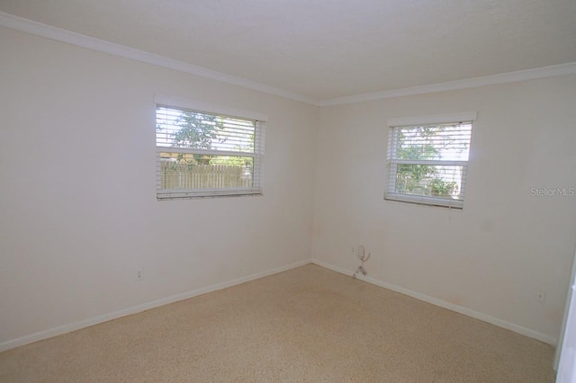 spare room featuring carpet flooring and crown molding