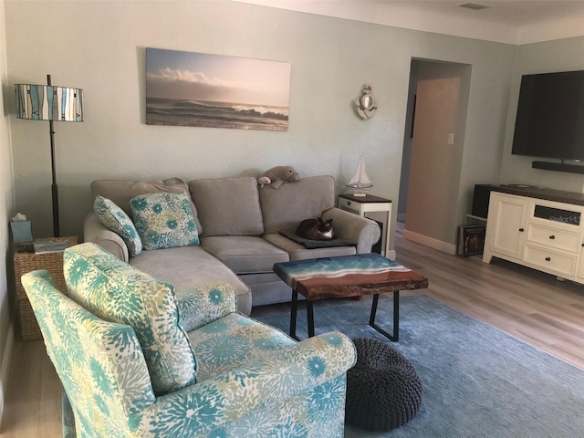 living room with wood-type flooring